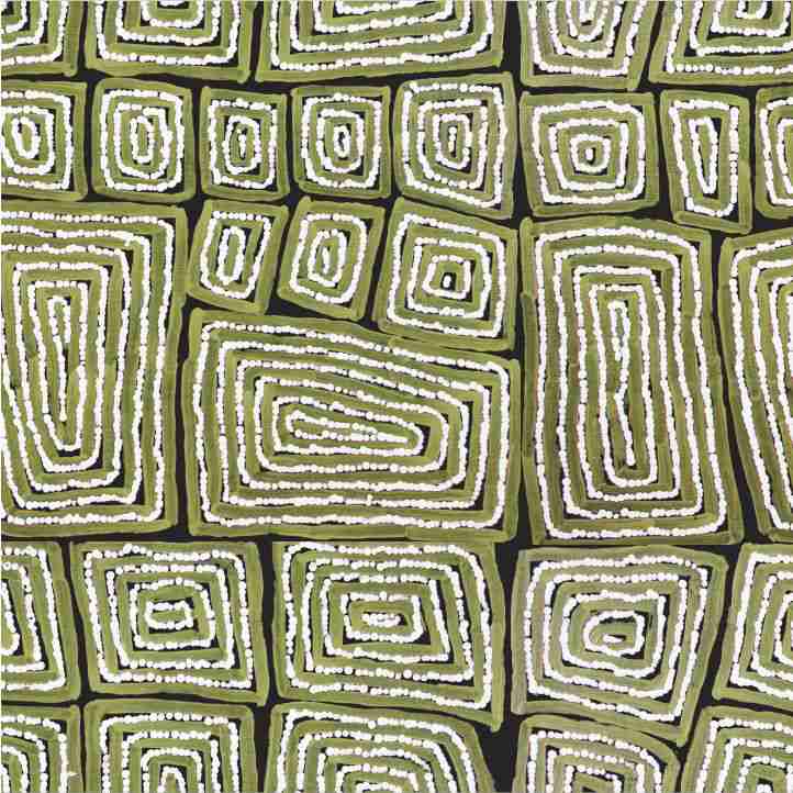Thomas Tjapaltjarri Khaki by Thomas Tjapaltjarri